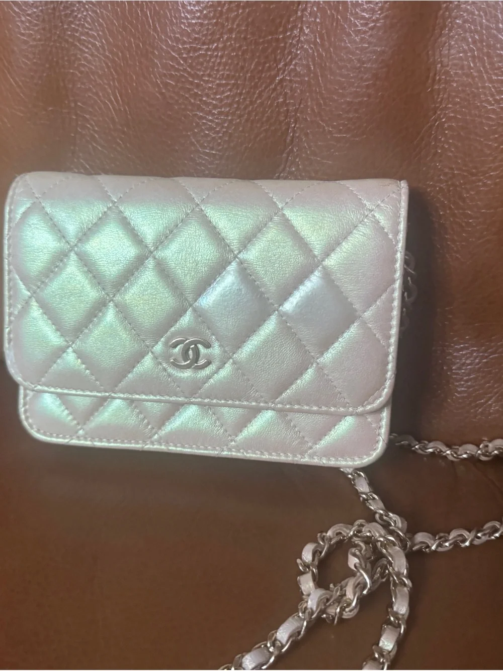 CHANEL iridescent quilted